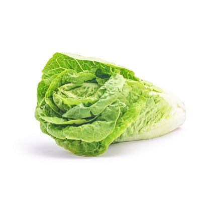 Lechuga Costina