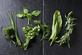 Hierbas culinarias