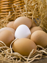 Huevos