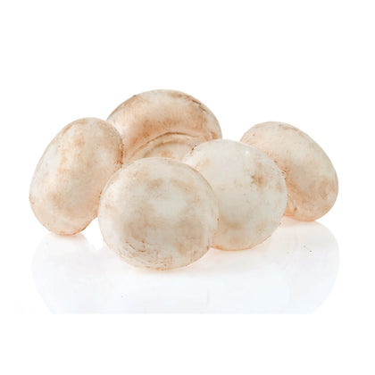 Champiñón