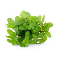 Menta
