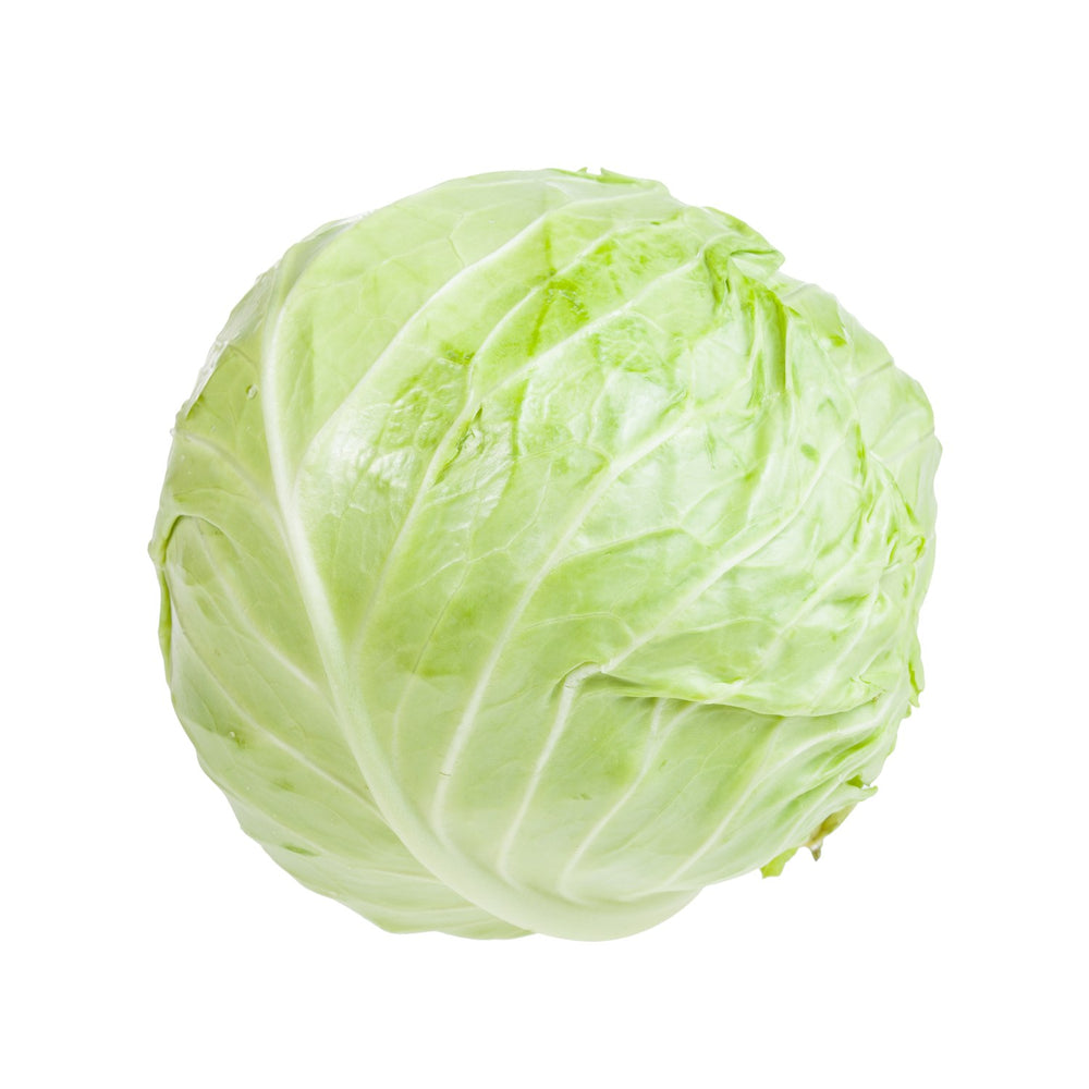 Repollo Blanco