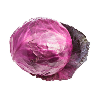 Repollo Morado